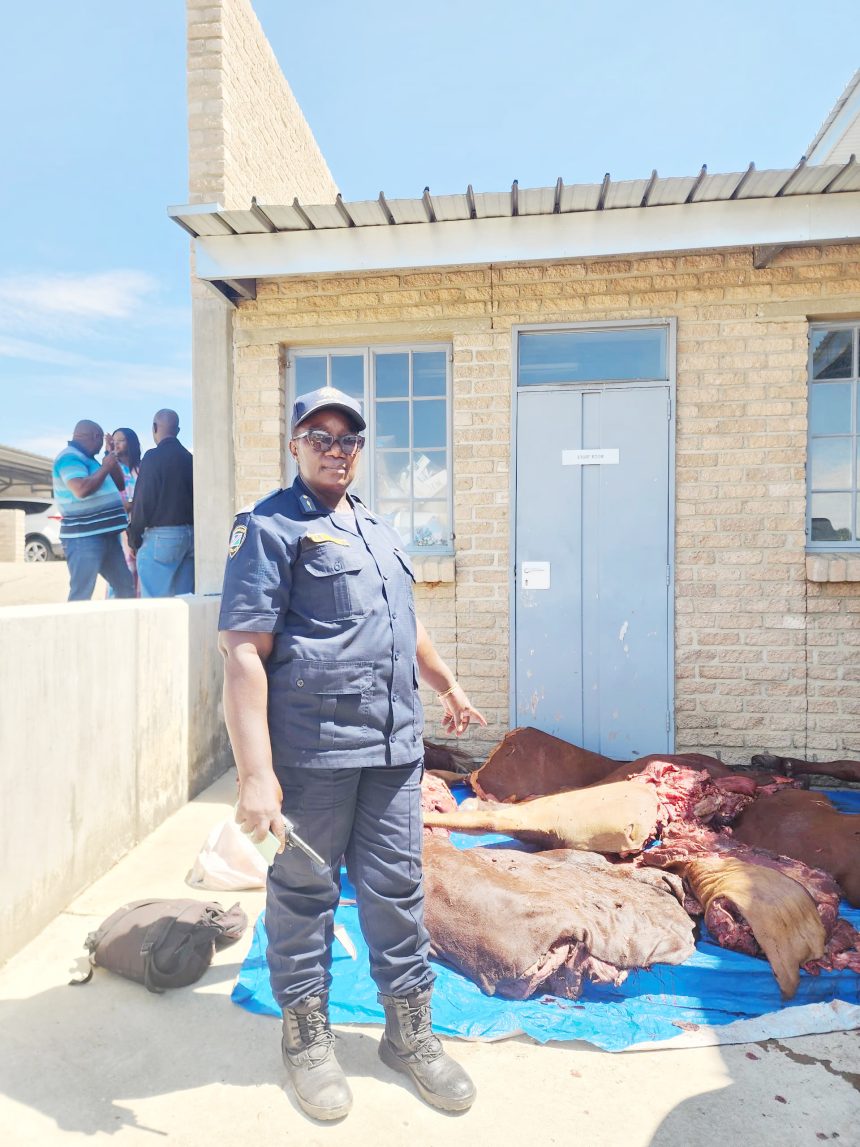 Wokuvaka nongombe kavavakwete