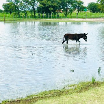 more rain expected Northern regions expect more rain