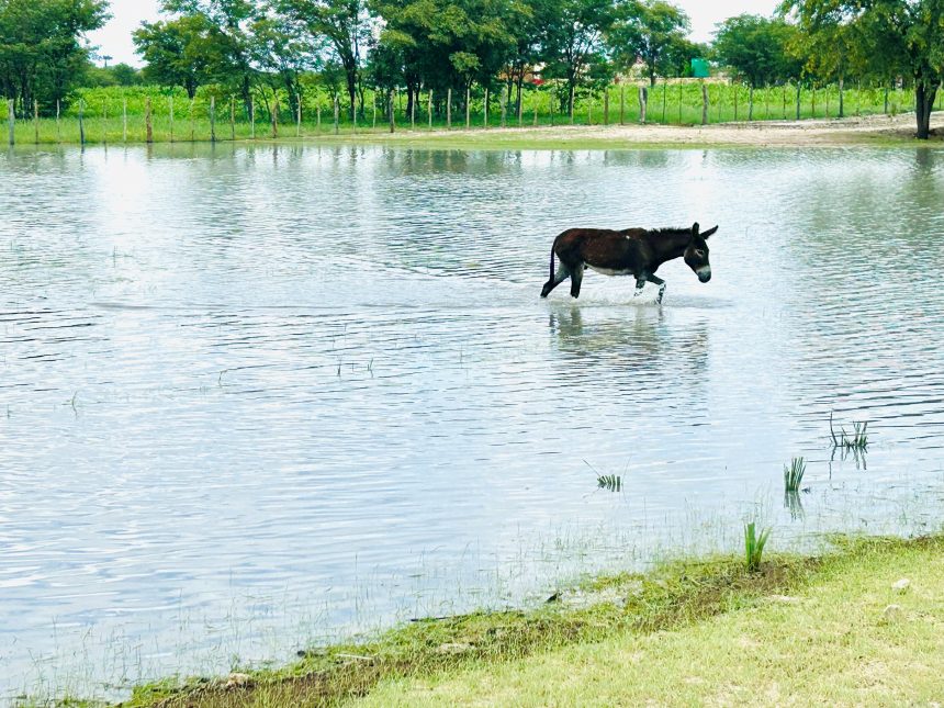Northern regions expect more rain