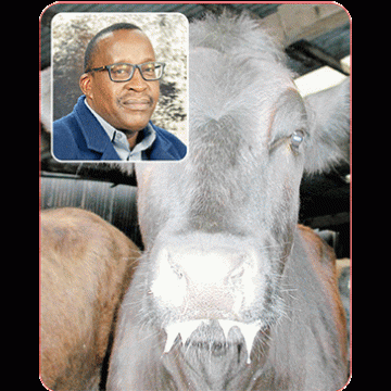 ngurunyoka yOtjinyo nOtjikoti – Tujendapi