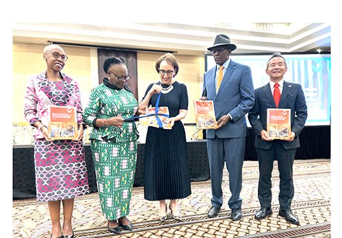 UN maps Nam’s industrial path