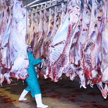 AGOA showdown looms … as Namibia challenges Trump’s tariffs 