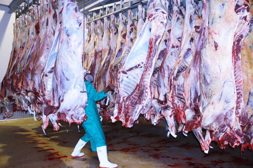 AGOA showdown looms … as Namibia challenges Trump’s tariffs 