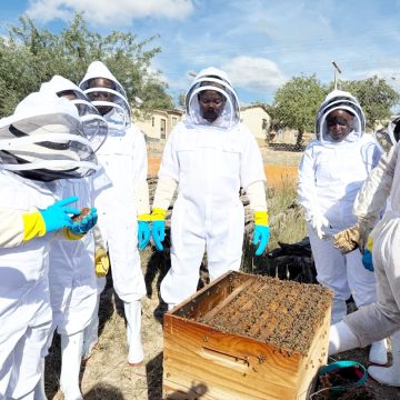 Kunene delivers 15 beekeepers