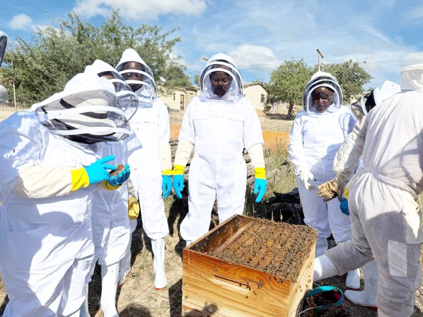 Kunene delivers 15 beekeepers