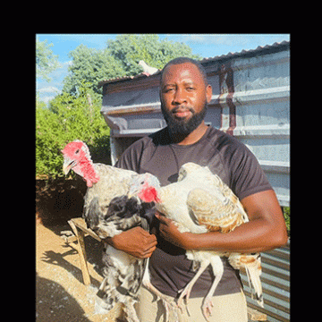 Gabriel David: Redefining the art of chicken farming … a story of perseverance and innovation