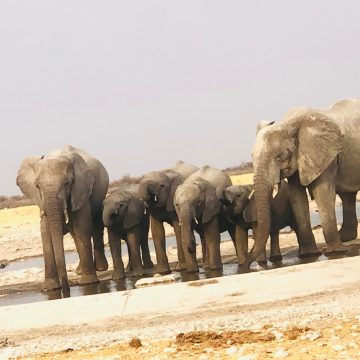 Eendjaba de liteyela mOmusati … oshiwana nashi kale kokule nookahenge