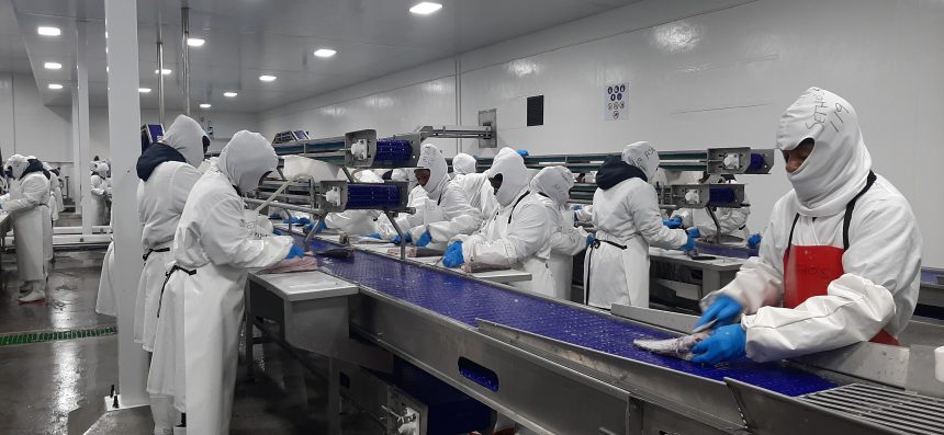 Erongo at 36: Namibia’s economic engine 