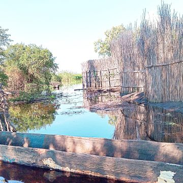 Bayahi basilalanda sa Kabbe baelezwa kututa