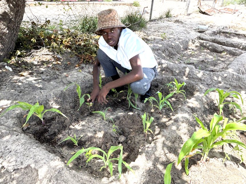 Katjinakatji school garden inspires learners