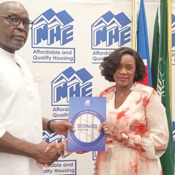 NHE records N$23m net profit for 2024/25 FY …needs to increase the pace of housing delivery to address backlog