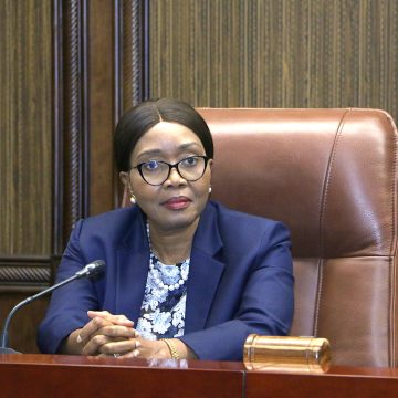 Asset declarations: Who owns what where? – Part 2 … as Swartbooi reveals 400 goats and 200 cattle 