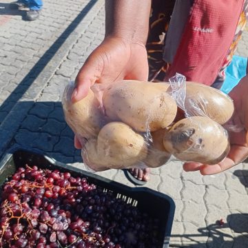 ‘Independence without economic freedom’