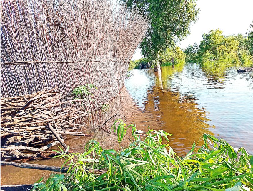 Kabbe ipotolohwa kimezi