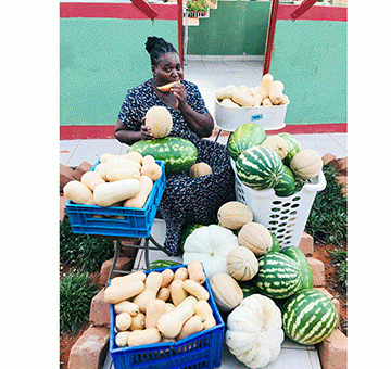 SMEs’ spotlight with Pricilla Mukokobi –  Kahorere grows food, hope in Gobabis 
