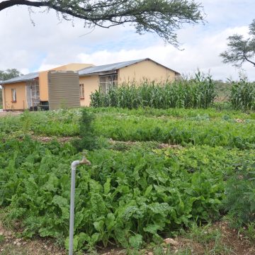 Land Fund Land acquisition fund in dire straits … N$24m land taxes misstated