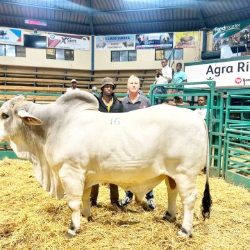 Farming duo invests N$350 000 in quality genetics …aim to improve genetics, long-term value