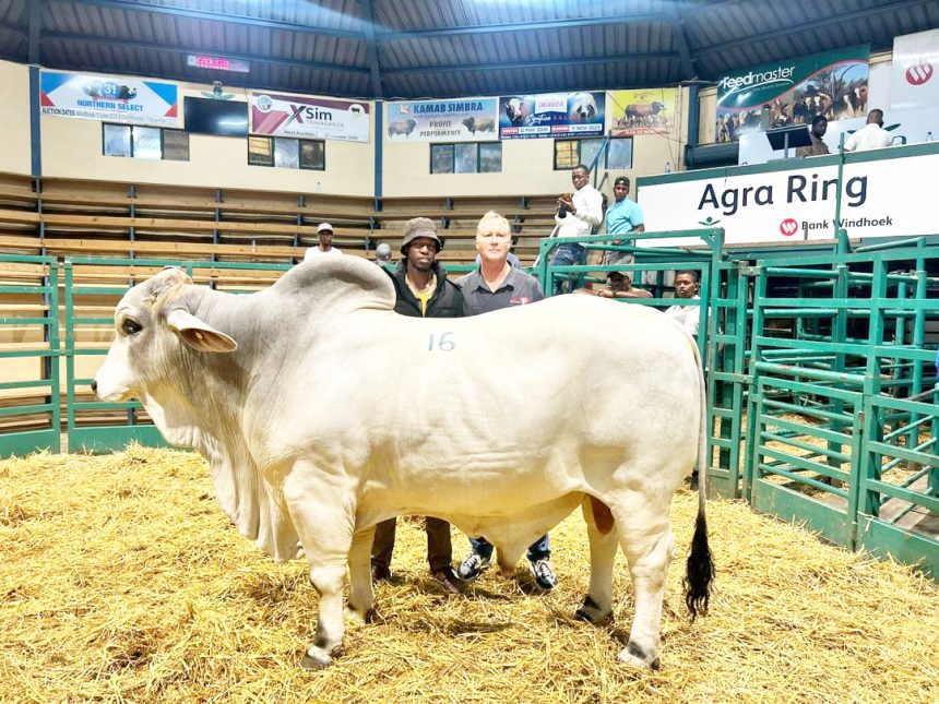 Vevari vovaÞuta va pwikire Ozondora o-350,000 mo vinamwinvo vyo mbindu
