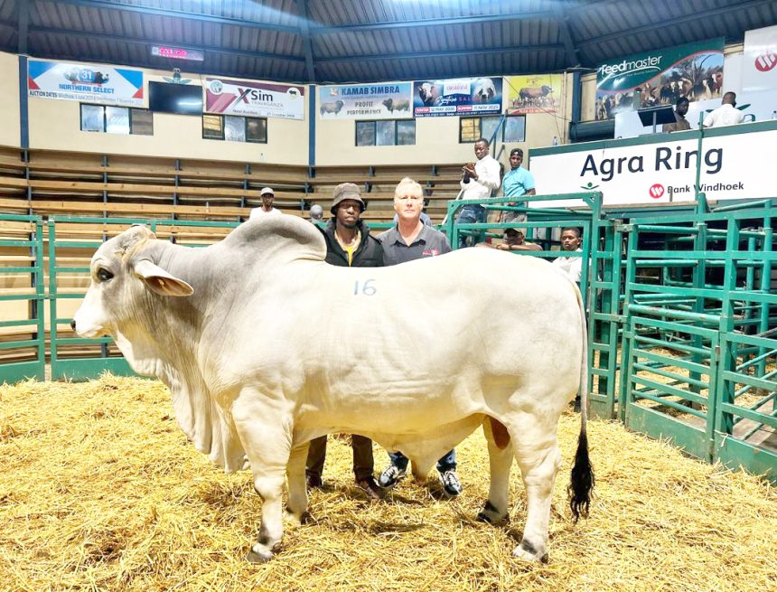 Vevari vovaÞuta va pwikire Ozondora o-350,000 mo vinamwinvo vyo mbindu