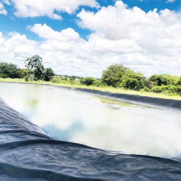 Mpungu fish farm’s struggles 