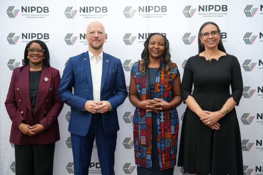 Namibia-Germany Namibia, Germany launch TalentsBridge