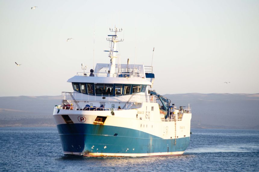 NovaNam fleet renews labour status 