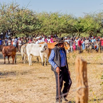Okongo otai kaninga oshivilo shomaludi neudo 