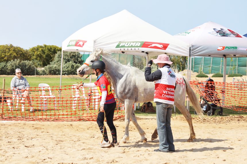 Puma energises annual Endurance Club Champs