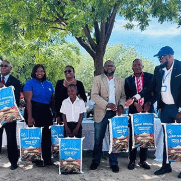 Ovanangeshefa tava yambidida eefikola monooli 