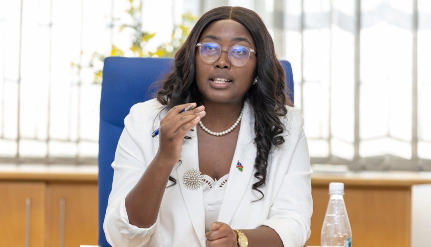 Starlink rejection: Legal, national security grounds  …no special treatment, says minister 