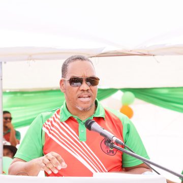 Swartbooi proposes skills export  