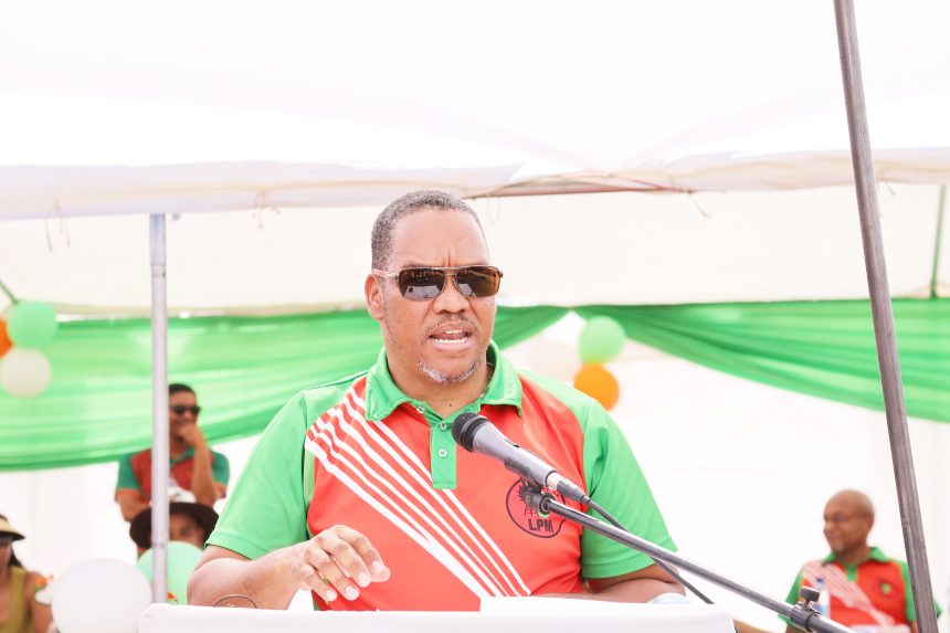 Swartbooi proposes skills export  