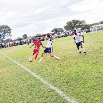 Tigers battle against relegation …Starlile, Yangile vow to bounce back 