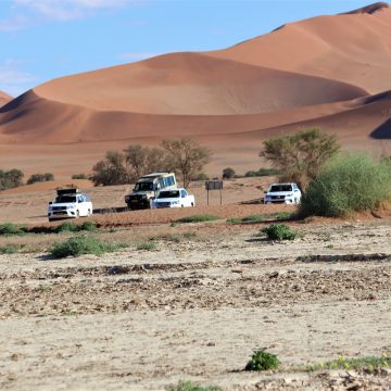 Calls for tourism policy alignment