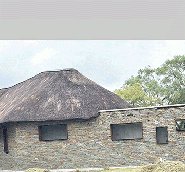 Kongola crocodile farm revival on track