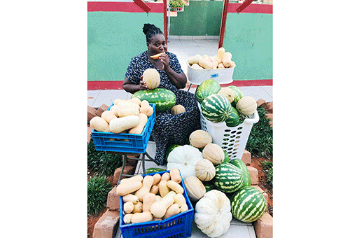 SMEs’ spotlight with Pricilla Mukokobi –  Kahorere grows food, hope in Gobabis 