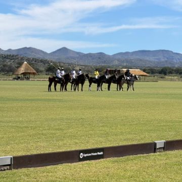 Equestrian skills take centre stage
