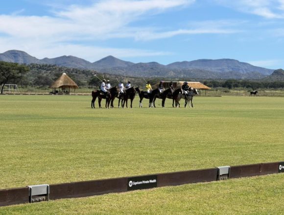 Equestrian skills take centre stage