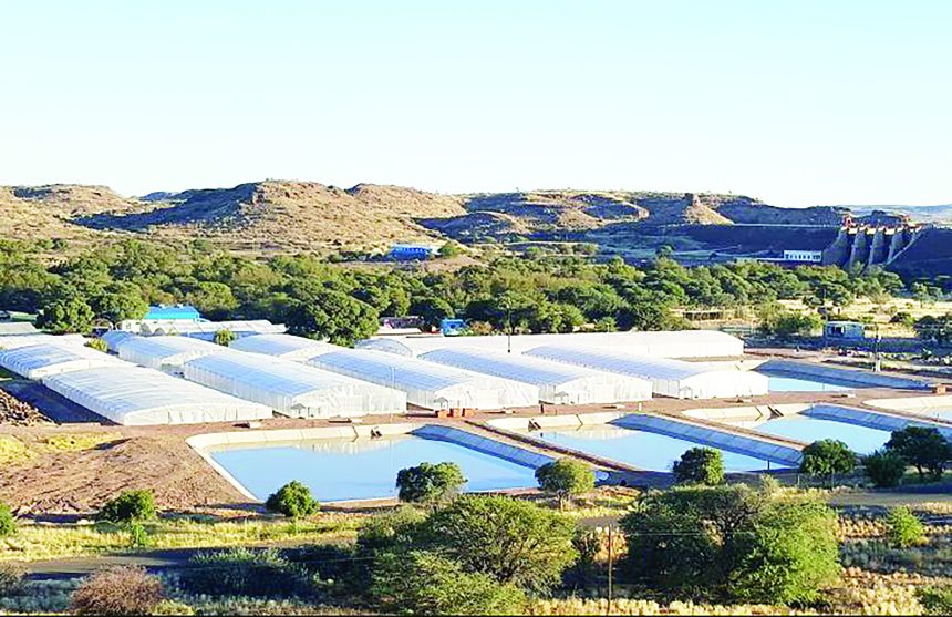 Hardap aquaculture centre meets target despite challenges