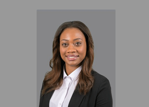 Experts advise investors on Namibia’s energy laws