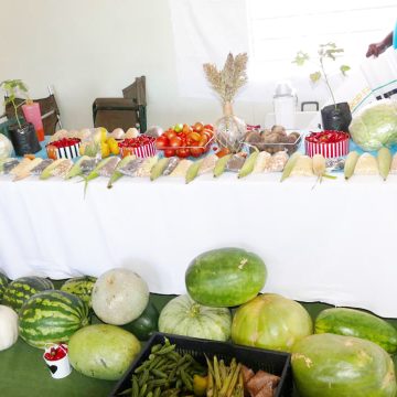 A decade of agricultural excellence …Omaheke Crop Farmers Fair returns