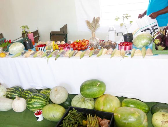 A decade of agricultural excellence …Omaheke Crop Farmers Fair returns