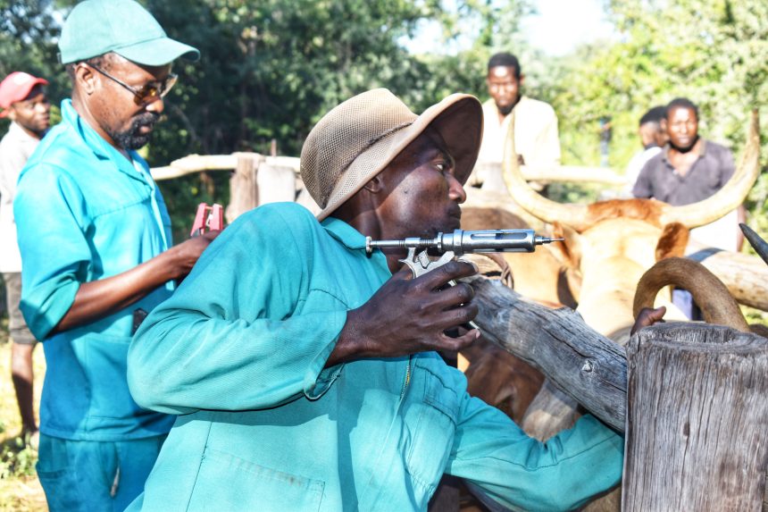 Farmers’ Kraal with Hanks Saisai – Organisational structure importance in agribusiness