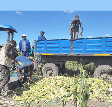 Eetona omi-70 domapungu da likolwa kombada yomeva efundja 