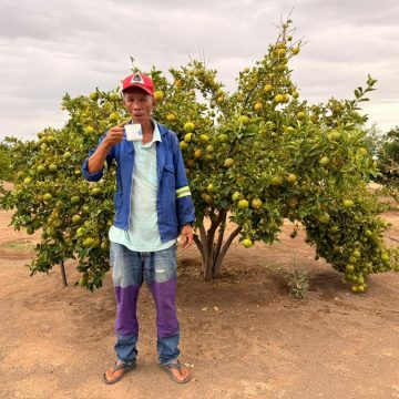 Farm Constancia: Jacobs cultivates hope with fruit garden 