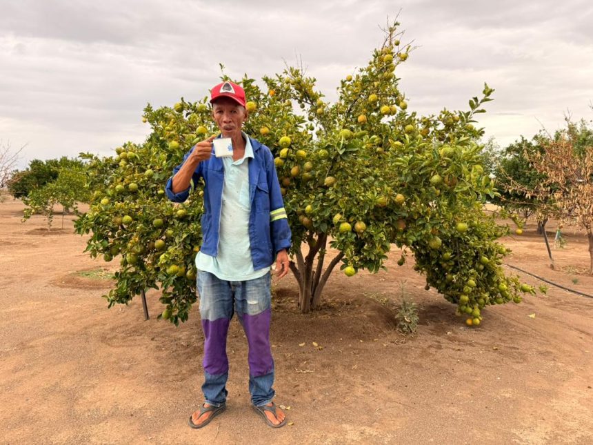 Farm Constancia: Jacobs cultivates hope with fruit garden 