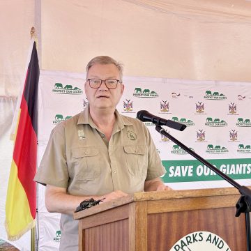 Germany pumps N$32b into Namibia since independence