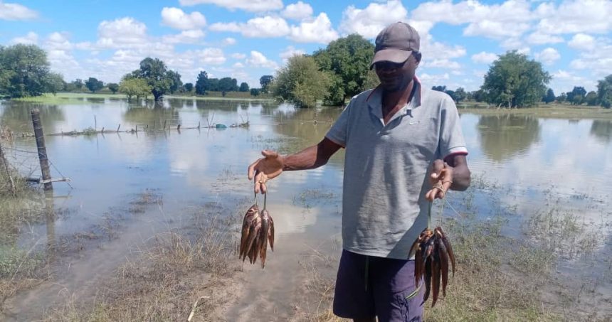 Efundja la etela oshiwana oshivelelwa … eeshi neenhangu ito mane