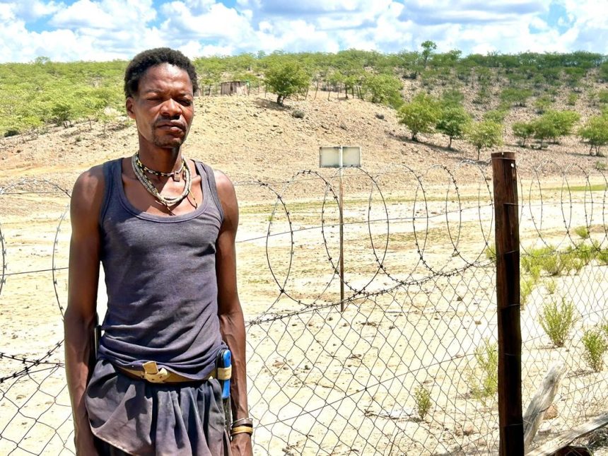 Aahimba taya lili ondjala nenota