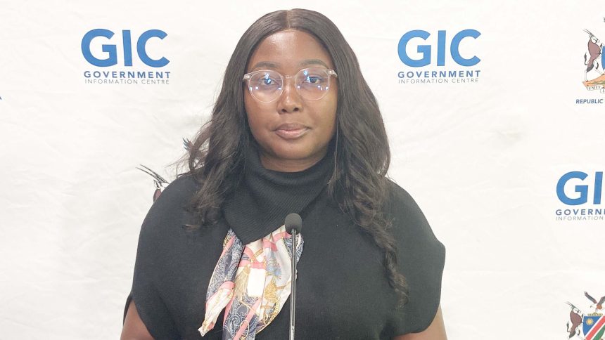 Govt allocates N$78m to ICT infrastructure